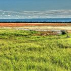 Ameland - Wattenmeer bei Ballum