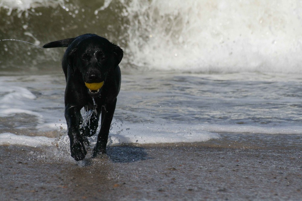 Amelie mit Ball