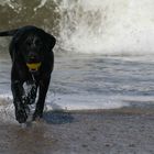 Amelie mit Ball