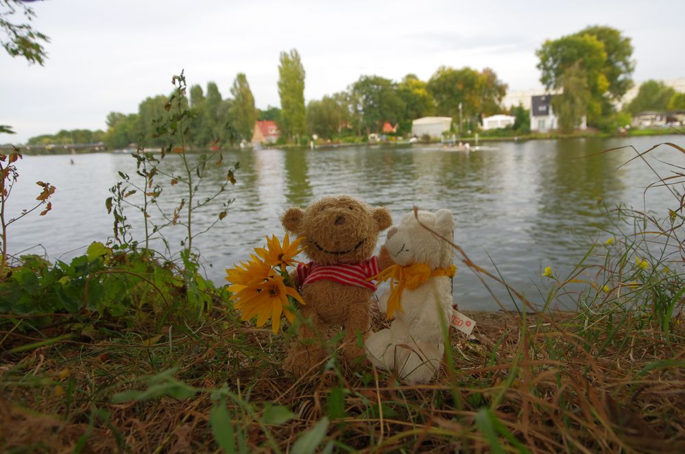 Ameliebärchen bei Norbärt zu Besuch