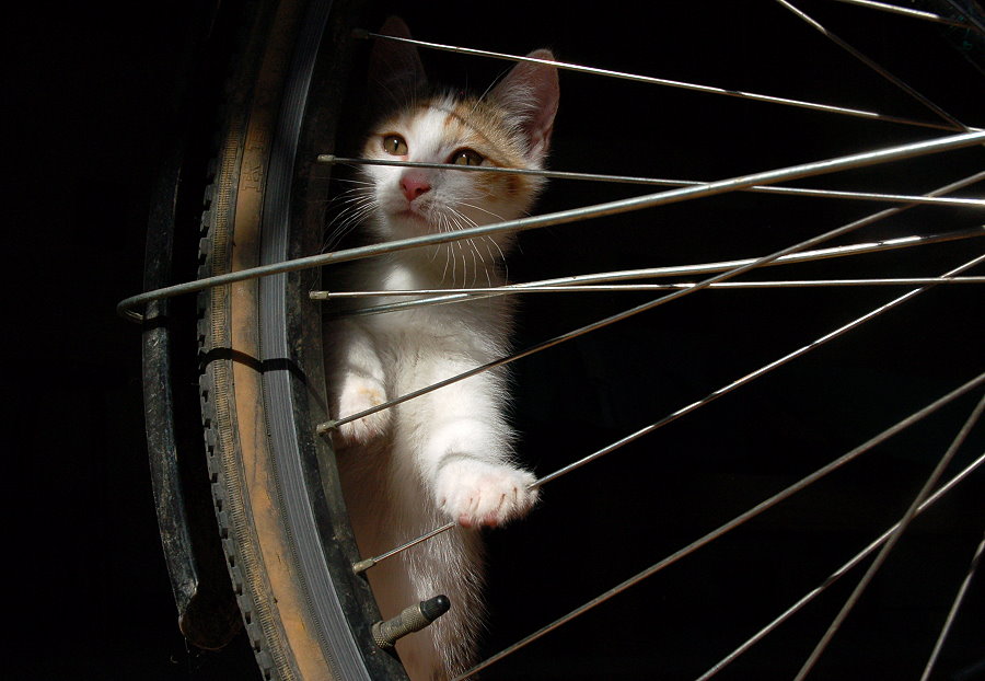 Amelies erste Fahrradstunde