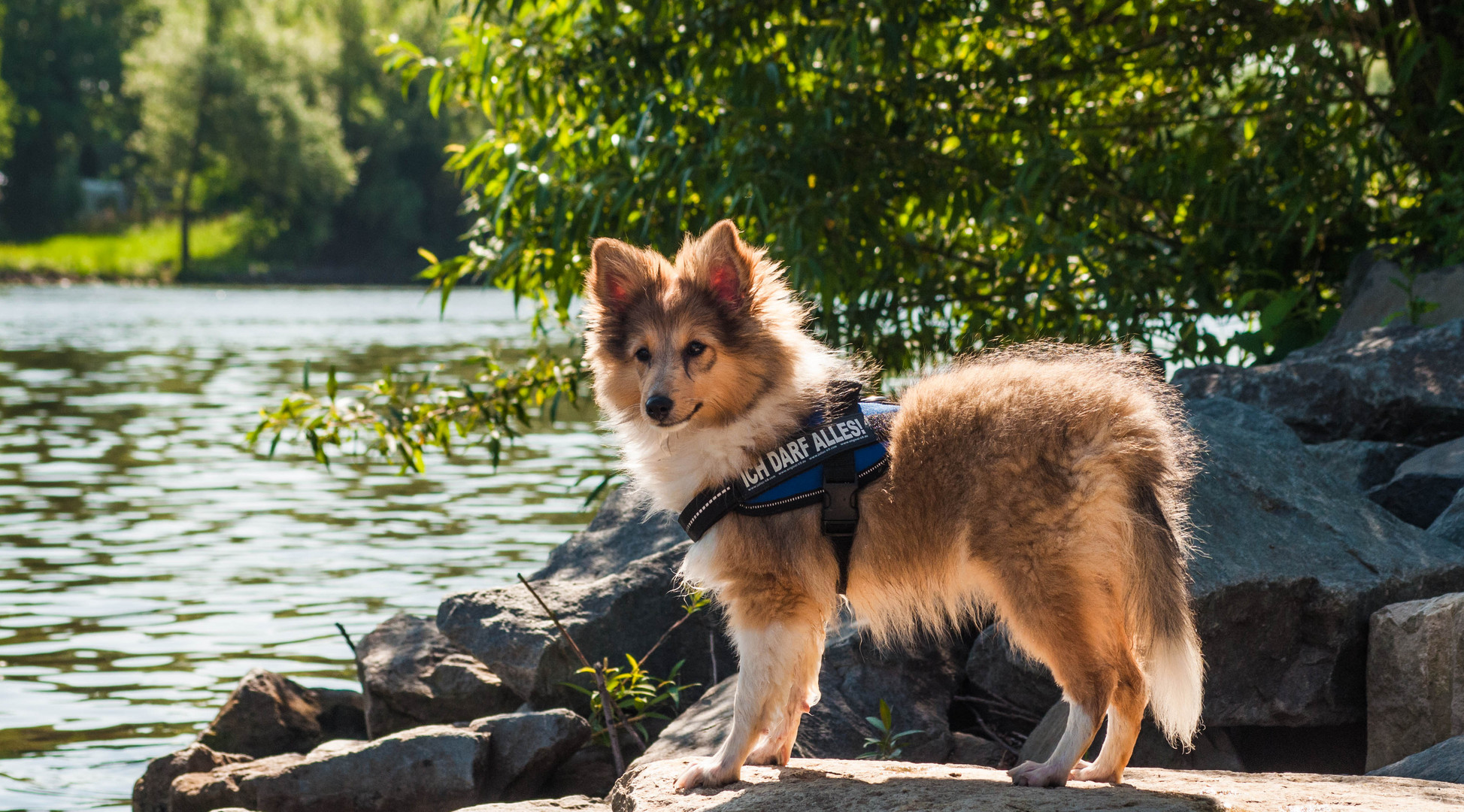 Amelie´s erster Tag am Wasser