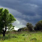 Amenaza de tormenta.