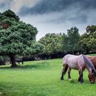 Amenaza tormenta