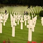 amer. soldatenfriedhof in metz