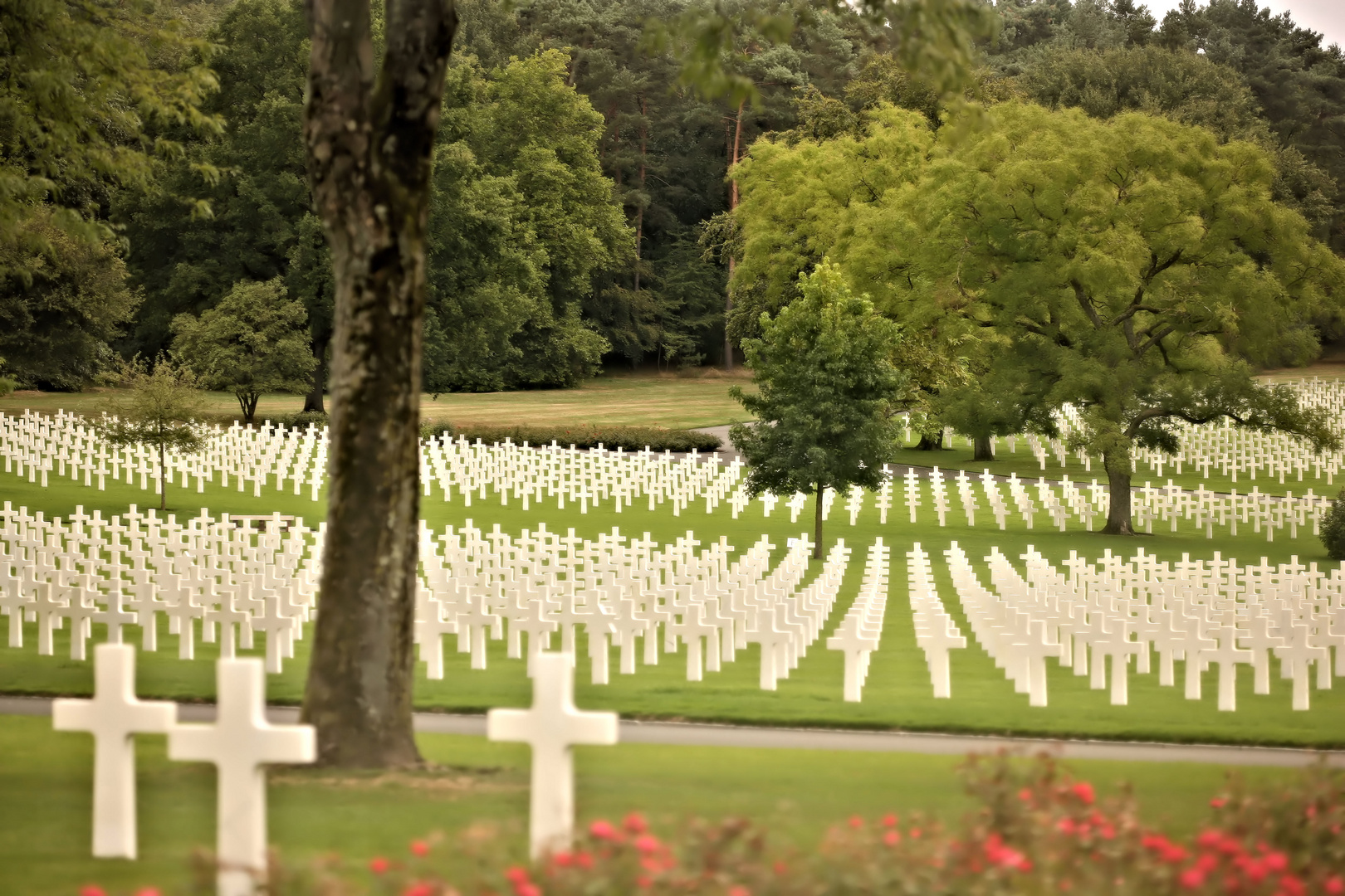 amer. soldatenfriedhof metz