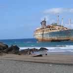 America Star auf Fuerteventura