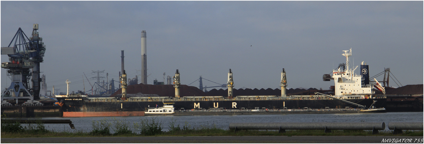 AMERICA STARLING, Bulk Carrier, Rotterdam.