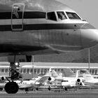 American AIrlines at SXM