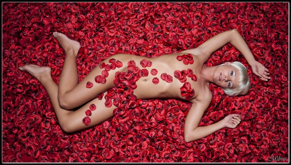 American Beauty