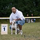 American Bulldog Krusty