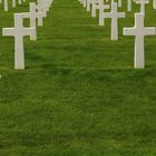 American Cemetary Colleville sur Mer/Normandie