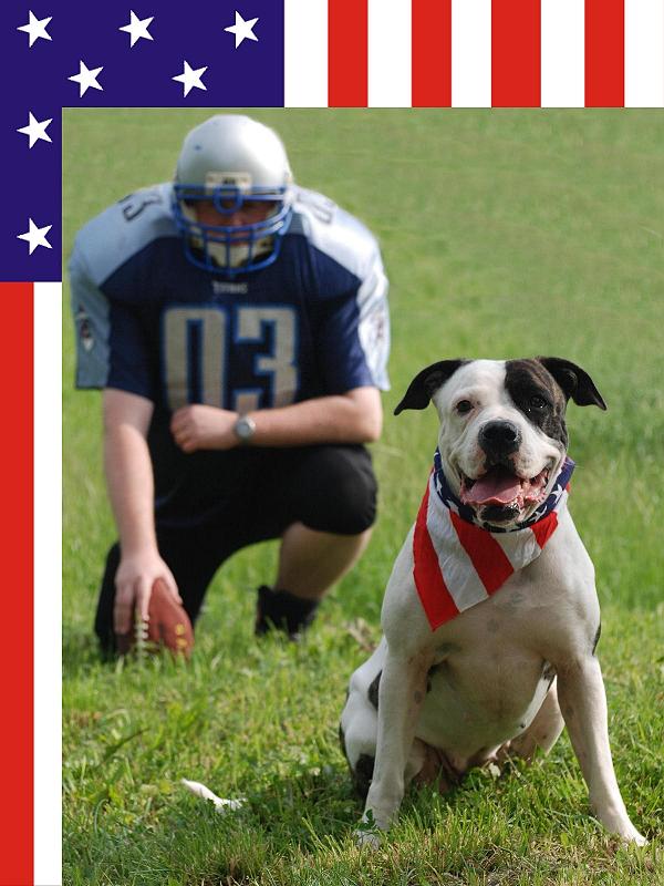 American Football meets American Bulldog