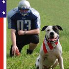 American Football meets American Bulldog