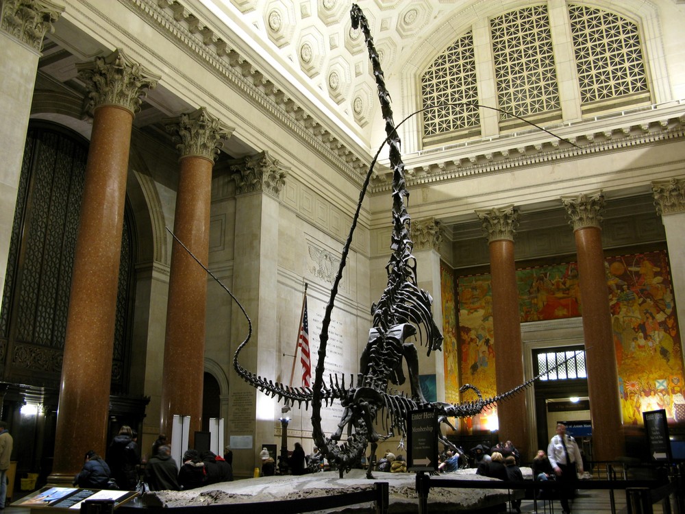 American Museum of Natural History - 1