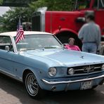 American Mustang