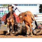 American Rodeo in Griesheim