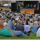 americana festival crowd 15