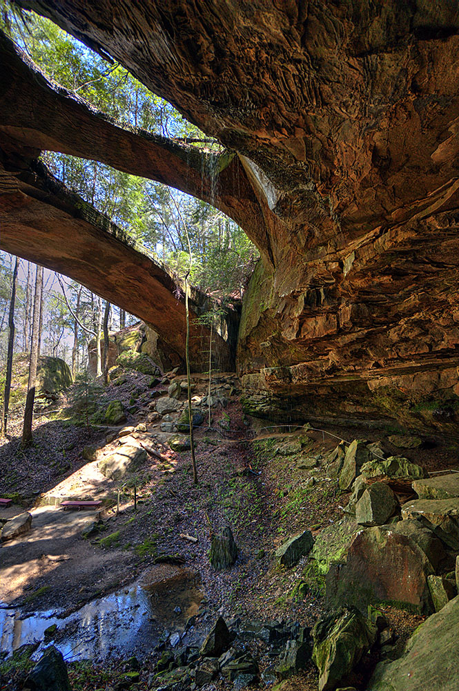 Americana: Natural Bridge