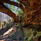 Americana: Natural Bridge