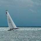 America's cup a Napoli 01