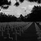 Amerikanische Soldatenfriedhof in Colleville-sur-Mer - Normandie