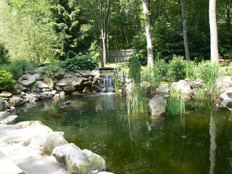Amerikanischer Garten Foto & Bild landschaft, garten