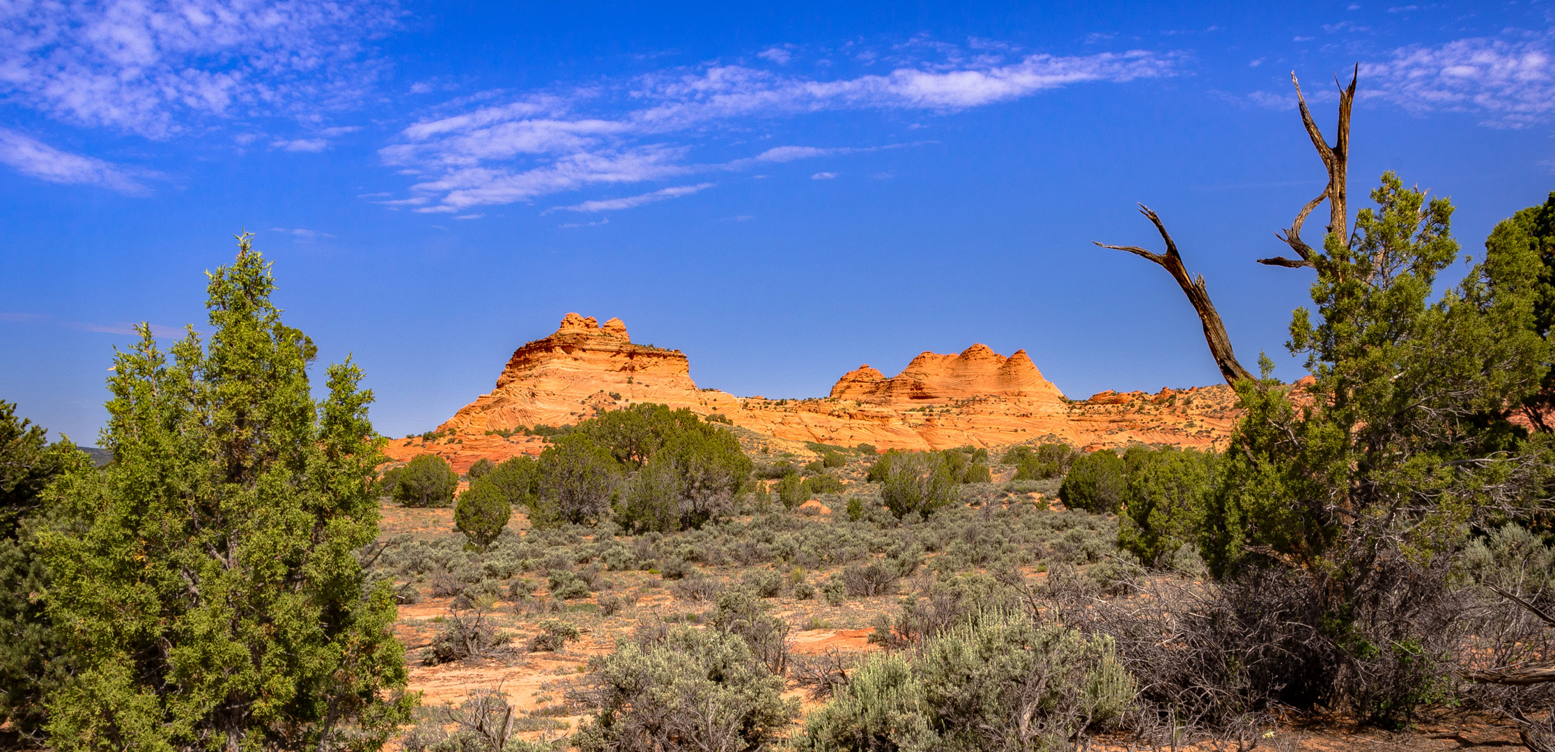 Amerikanisches "Red Centre"