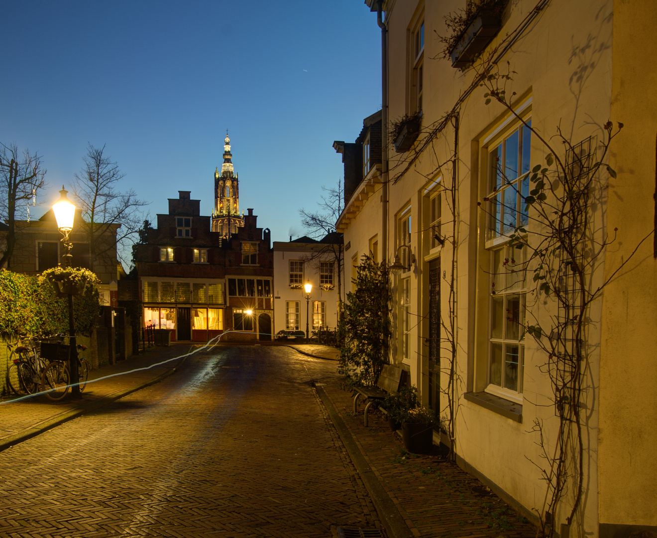 Amersfoort - Havik  - OLV toren - 02