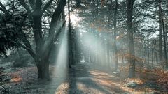 Amersfoort, Netherlands