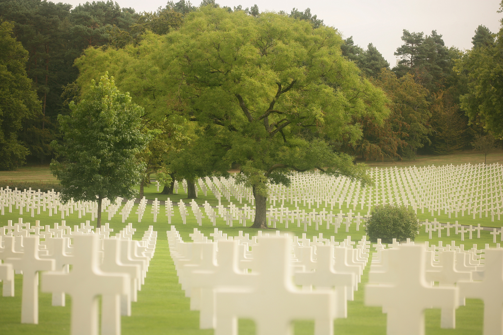 amer.soldatenfriedhof in metz