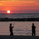 Amgler beim Sonnenuntergang