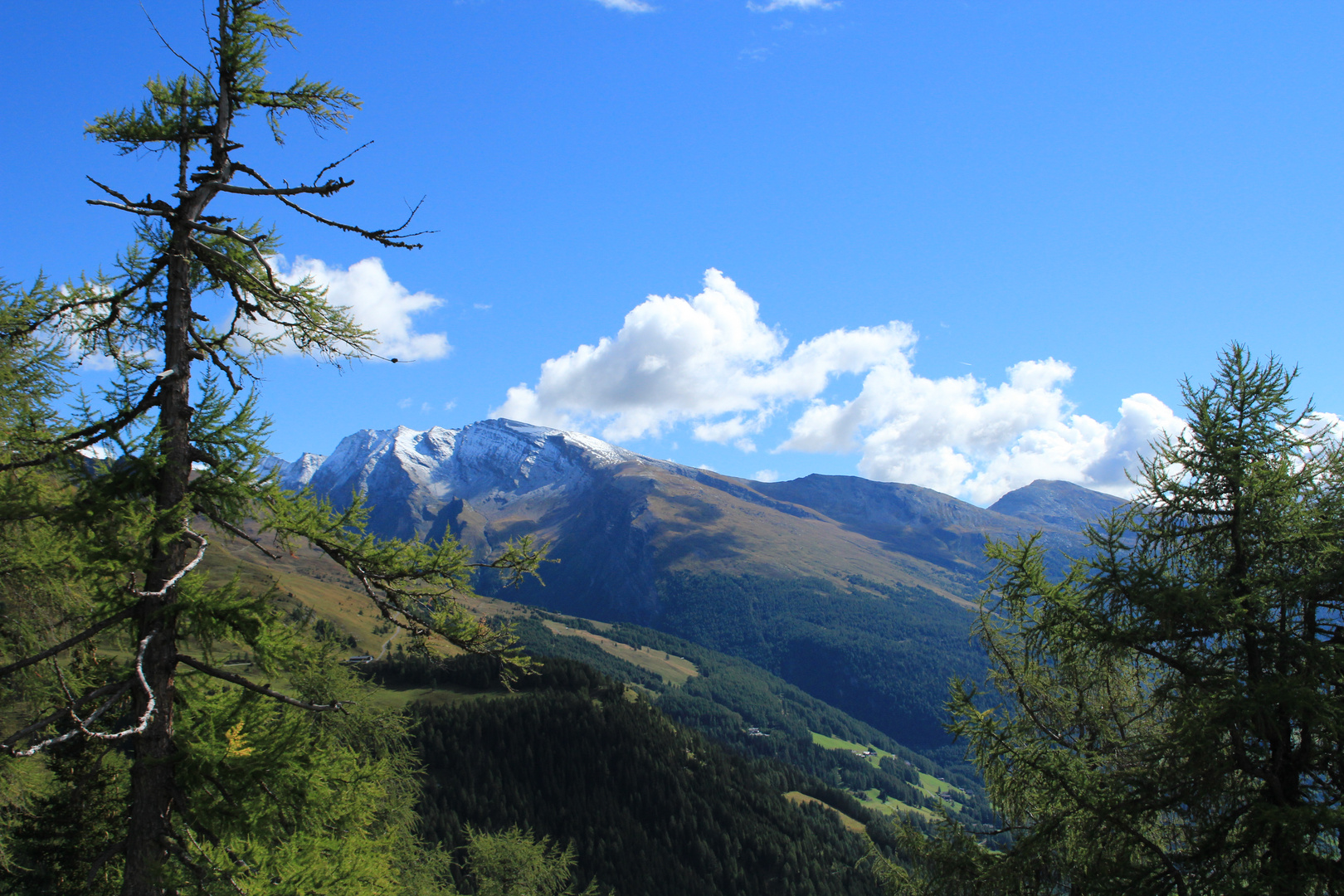 AmGroßglockner