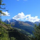 AmGroßglockner