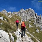 Amici quasi in cima