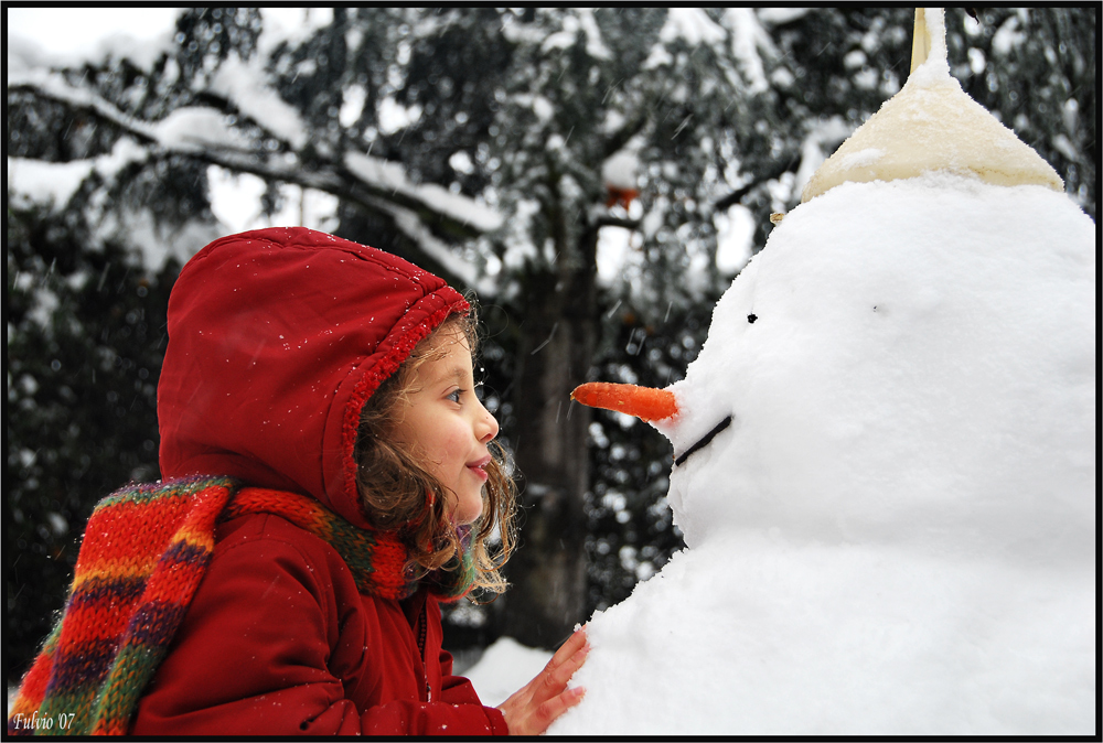 Amico di neve