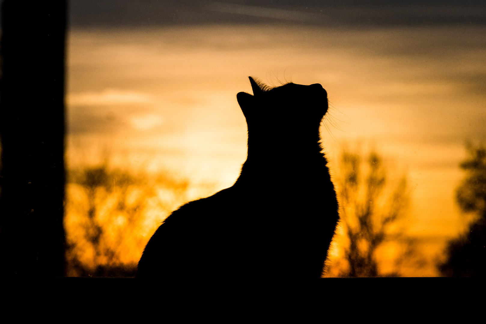 Amidala Sonnenaufgang