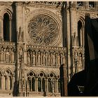 Amiens cathedral 17