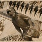 Amiens gargoyle 3