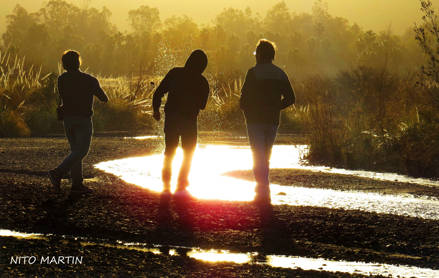 Amigos del atardecer