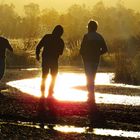 Amigos del atardecer