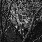 Amigos en Amazonas