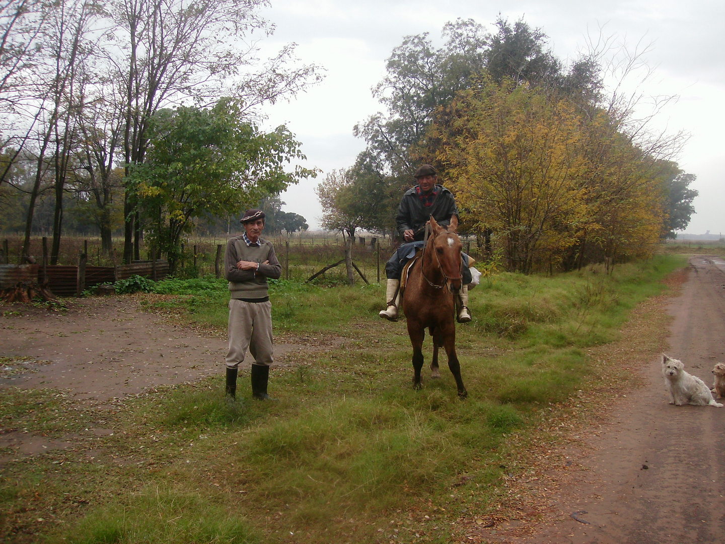 amigos,argentina