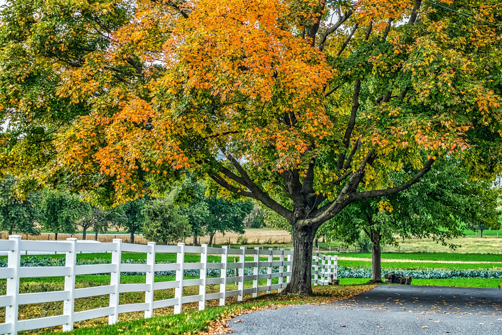 Amischland im Herbst