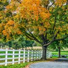 Amischland im Herbst