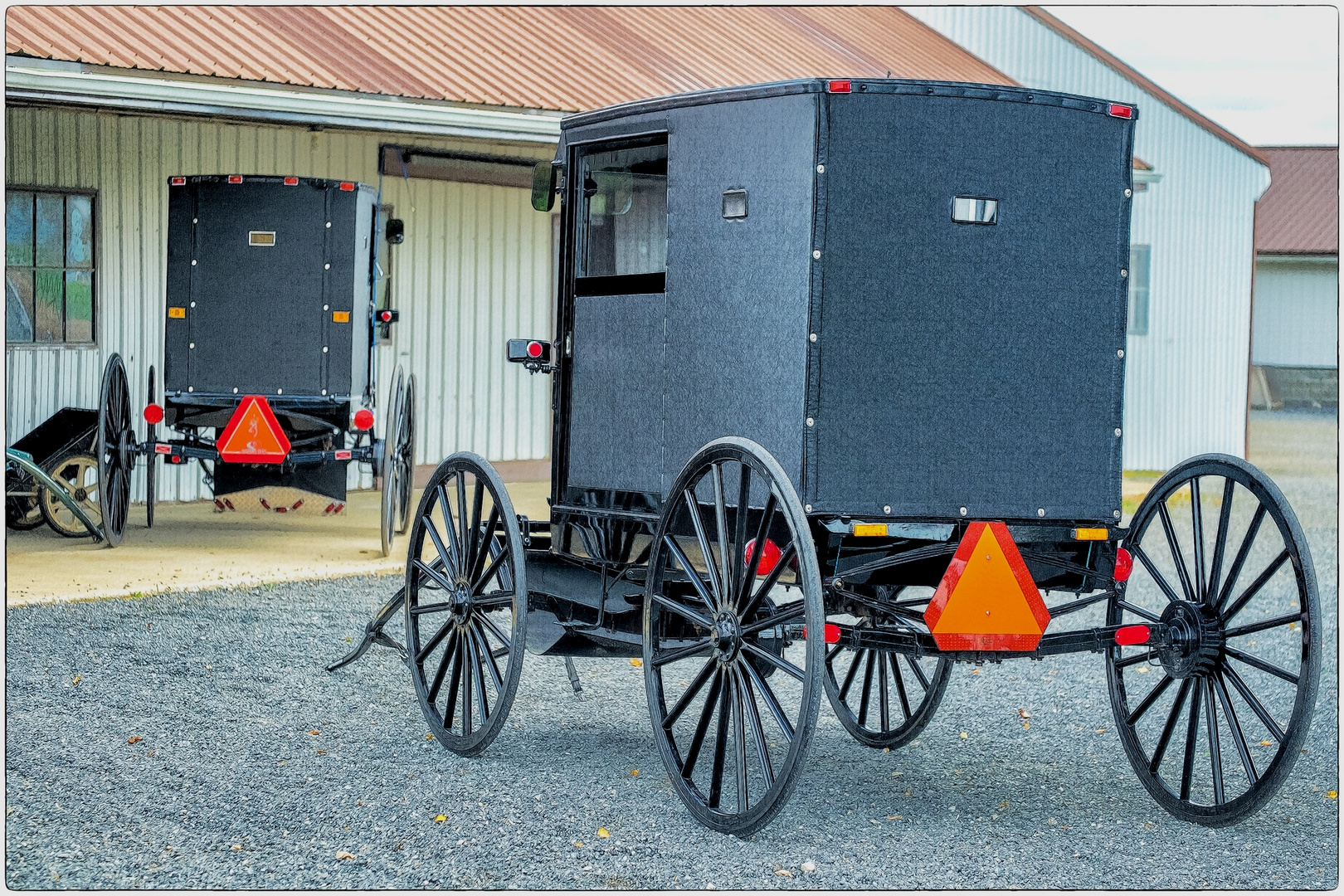 Amish Buggies