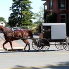 Amish Buggy