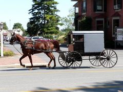 Amish Buggy