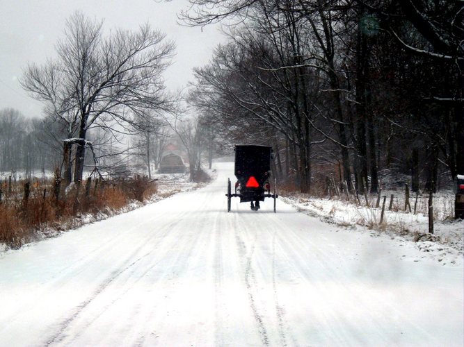 Amish Buggy