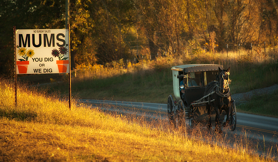 Amish country